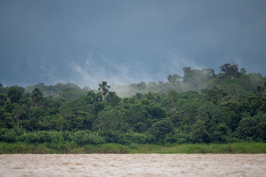 Gęsta dżungla nad rzeką w Amazonii – ochrona zdrowia w tropikach