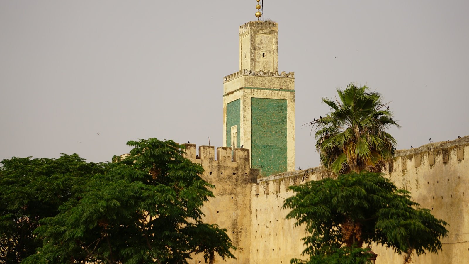 Burkina Faso - szczepienia i porady zdrowotne dla podróżnych