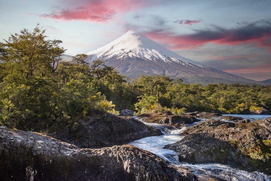 Hantawirus i gryzonie - Chile