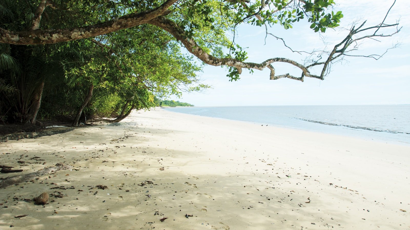 Gabon - szczepienia i porady zdrowotne dla podróżnych