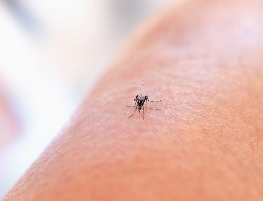 Malaria i komary - Ghana