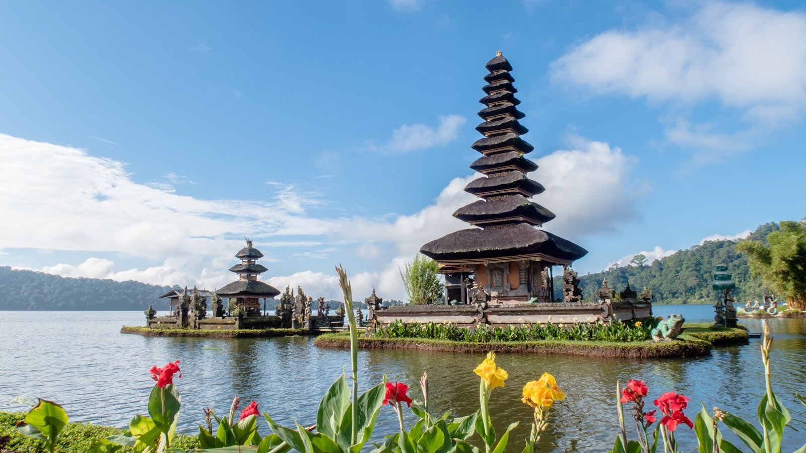 Szczepienia do Indonezji