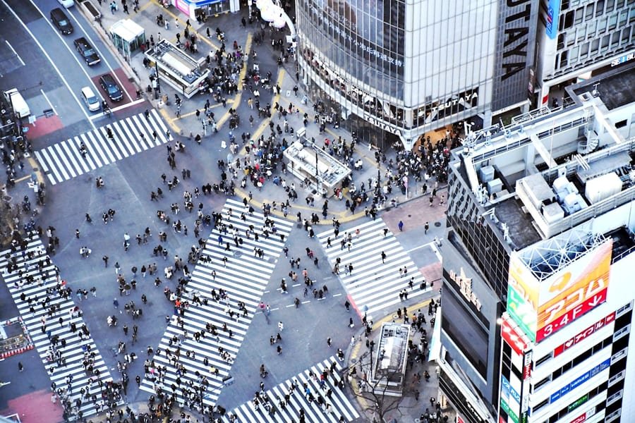 Polisa i apteczka pod japońskie prawo - Japonia