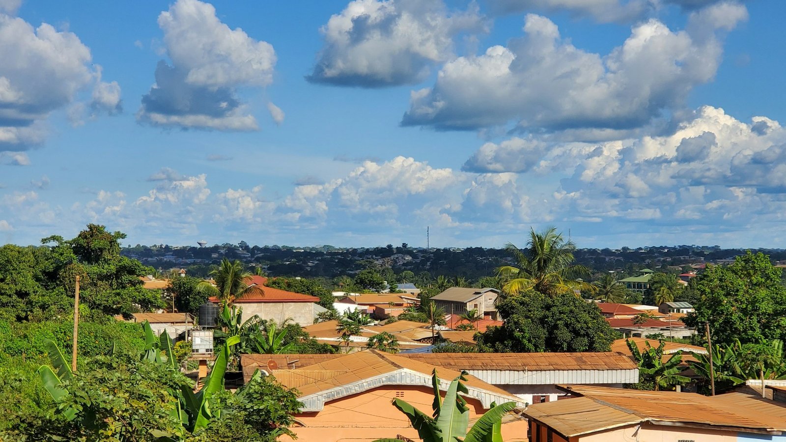 Kamerun - szczepienia i porady zdrowotne dla podróżnych