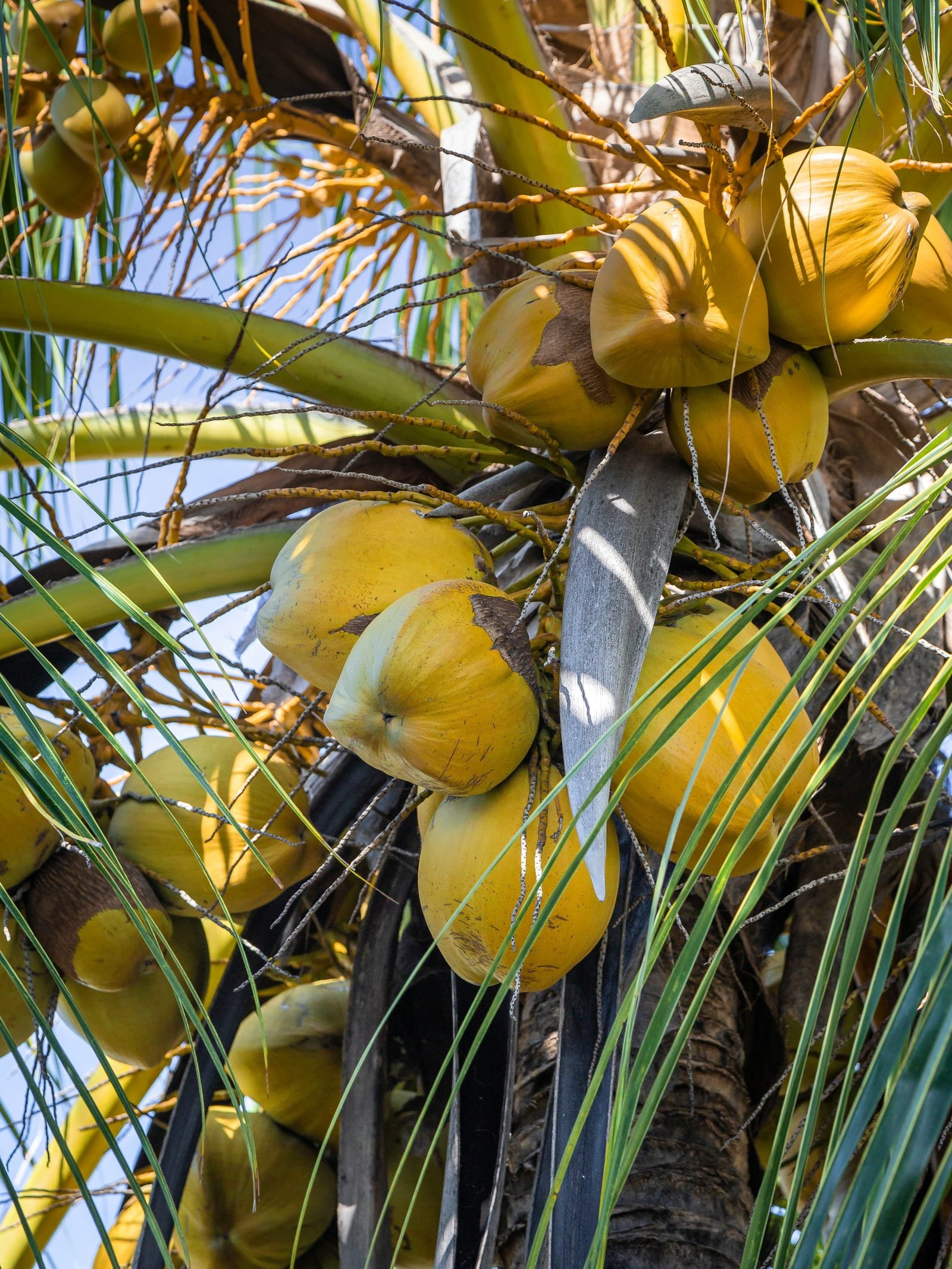Jedzenie i woda - Madagaskar