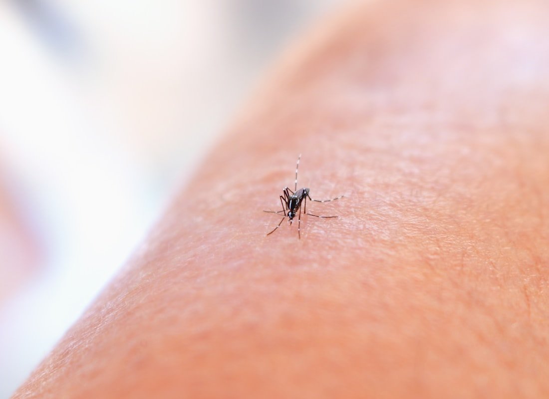 Malaria i komary - Malawi