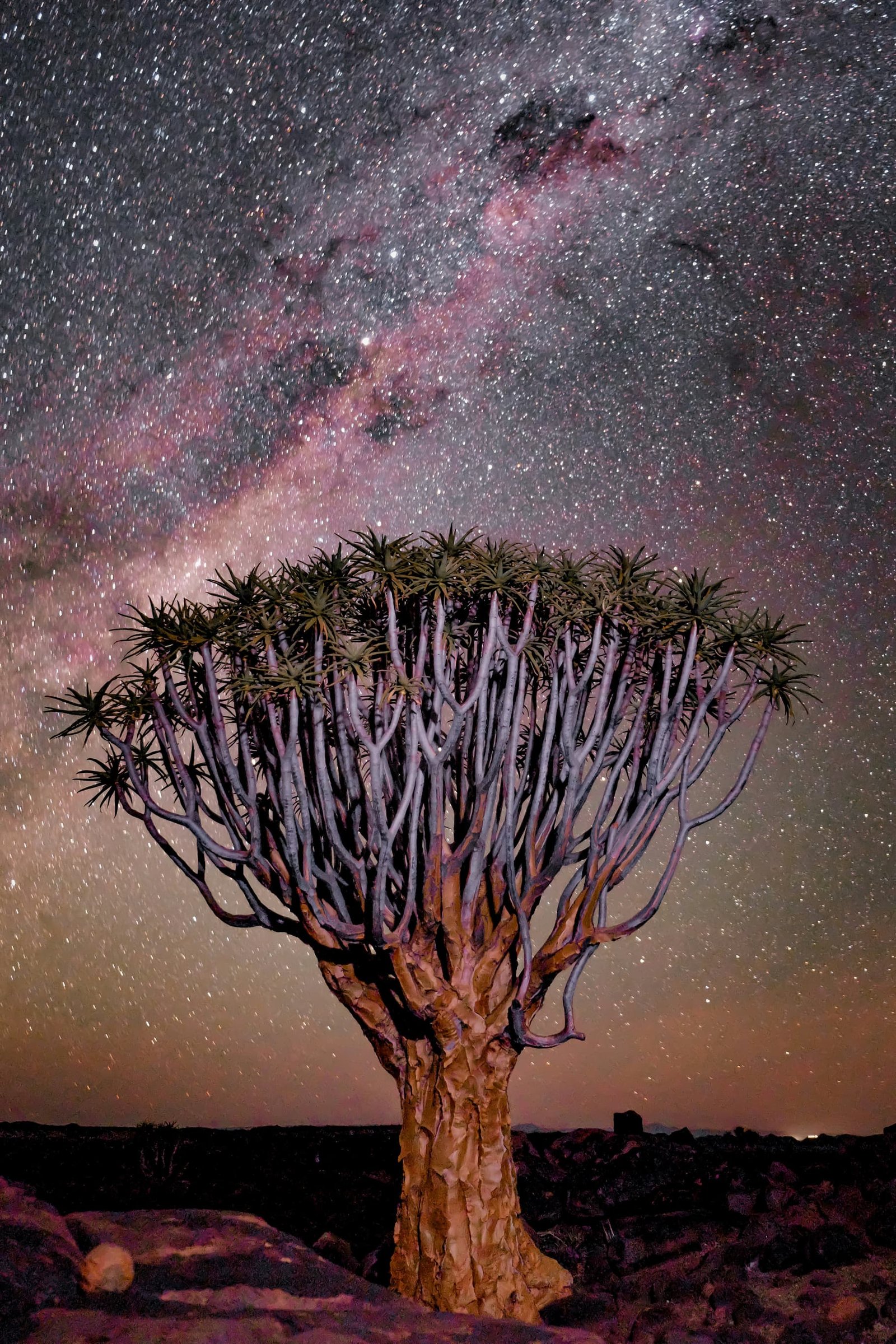Szczepienia do Namibii