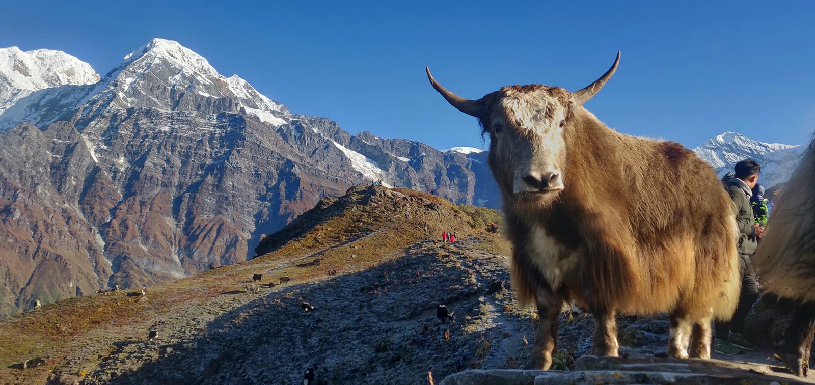 Wysokość i aklimatyzacja - Nepal