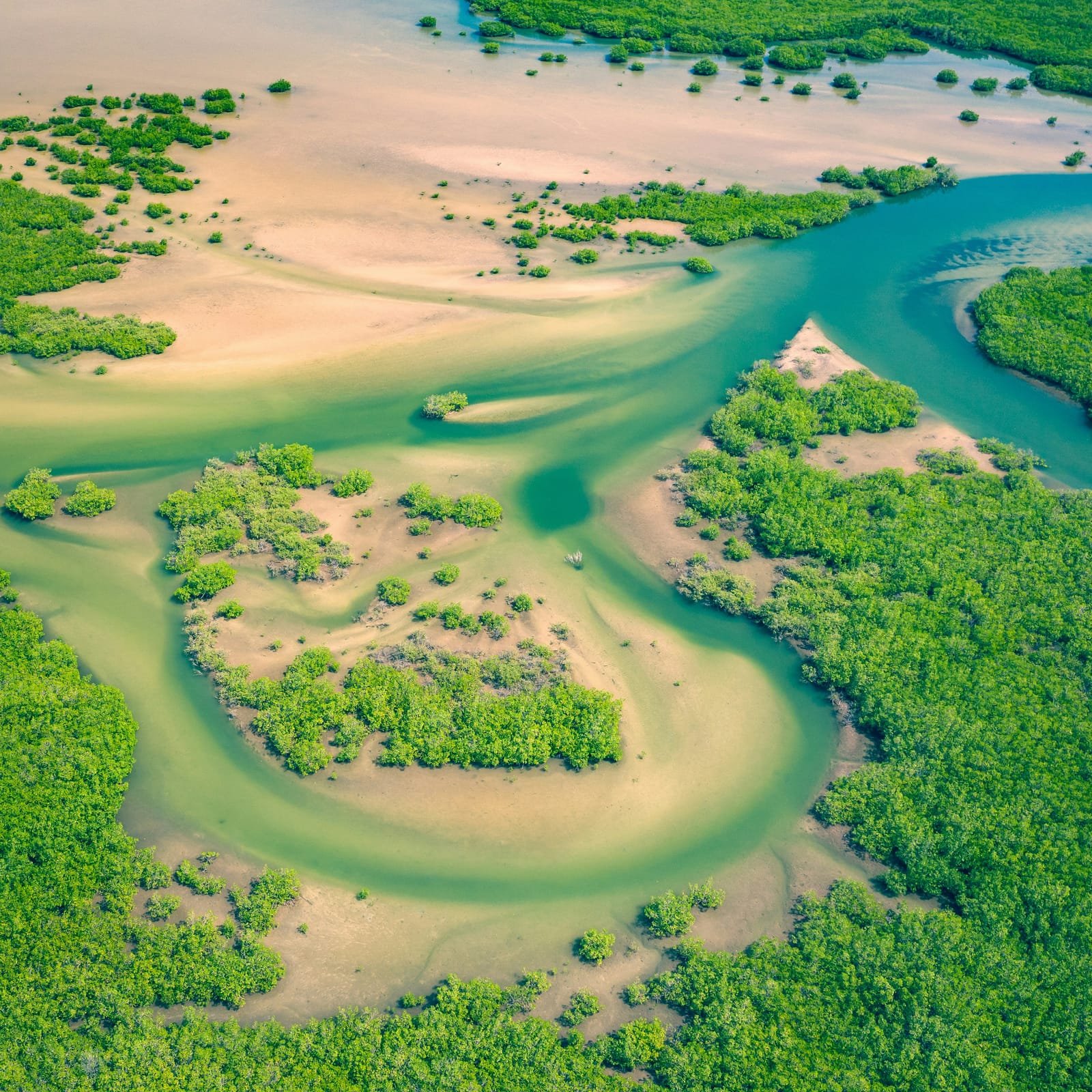 Zwierzęta i przyroda - Senegal