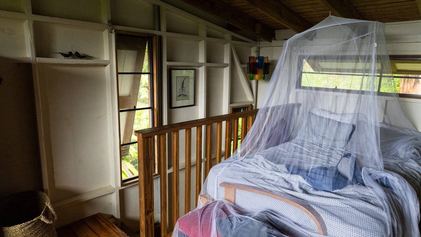 Malaria i komary - Tanzania