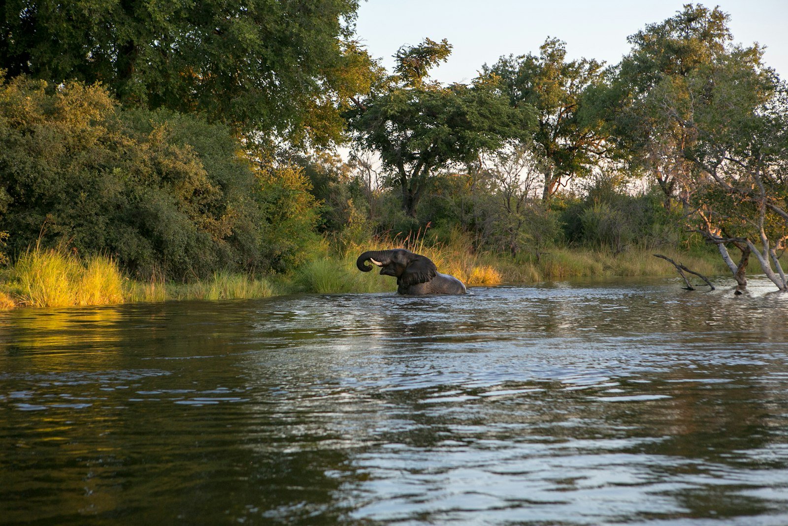Zambia - szczepienia i porady zdrowotne dla podróżnych