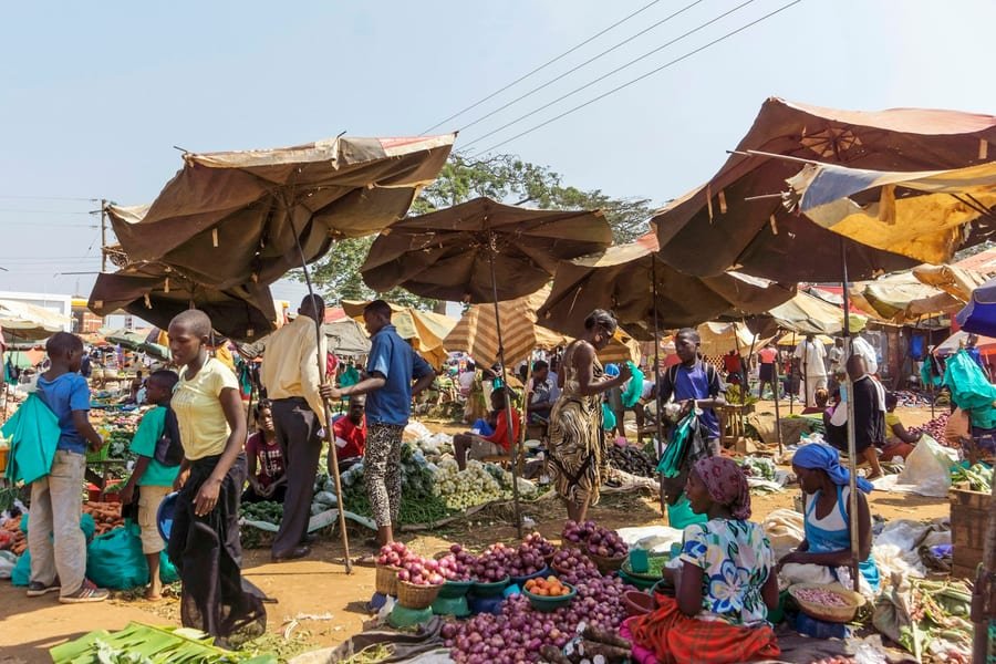 Jedzenie i woda - Zimbabwe