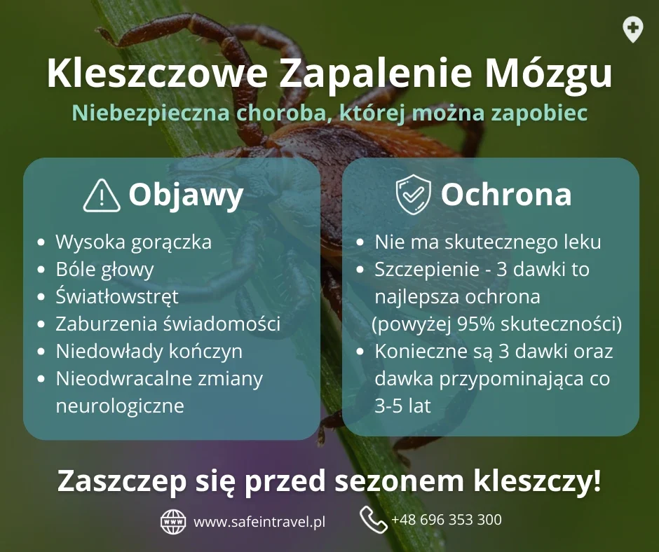 kleszczowe-zapalenie-mozgu